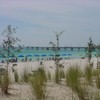 Beach & Pier through seagrass from pool area